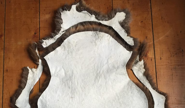 blog 2016 header trimmingsheepskins