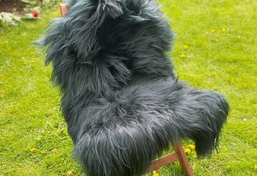 Green Icelandic sheepskin rug on a chair