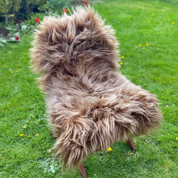 Caramel brown highland coo colour icelandic sheepskin rug on a chair