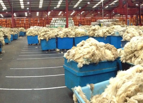 Warehouse full of sheepskins in large containers