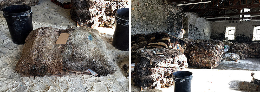 salted sheepskins ready for processing at the tannery