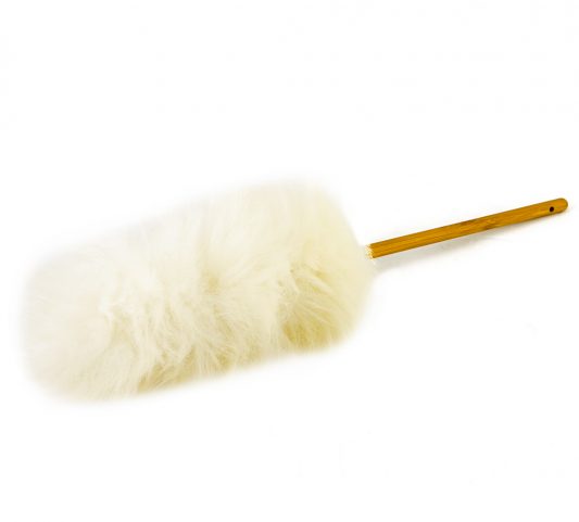 FB bamboo main