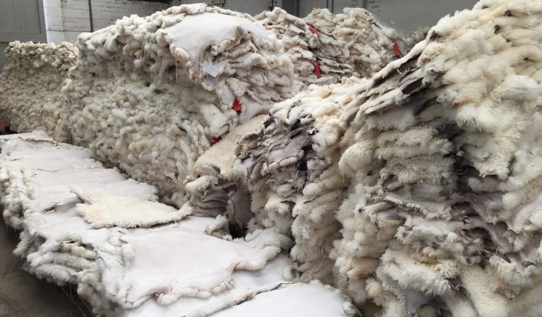 sheepskin sustainable