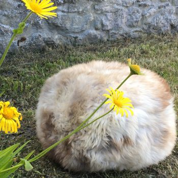 Rarebreed sheepskin pouffe