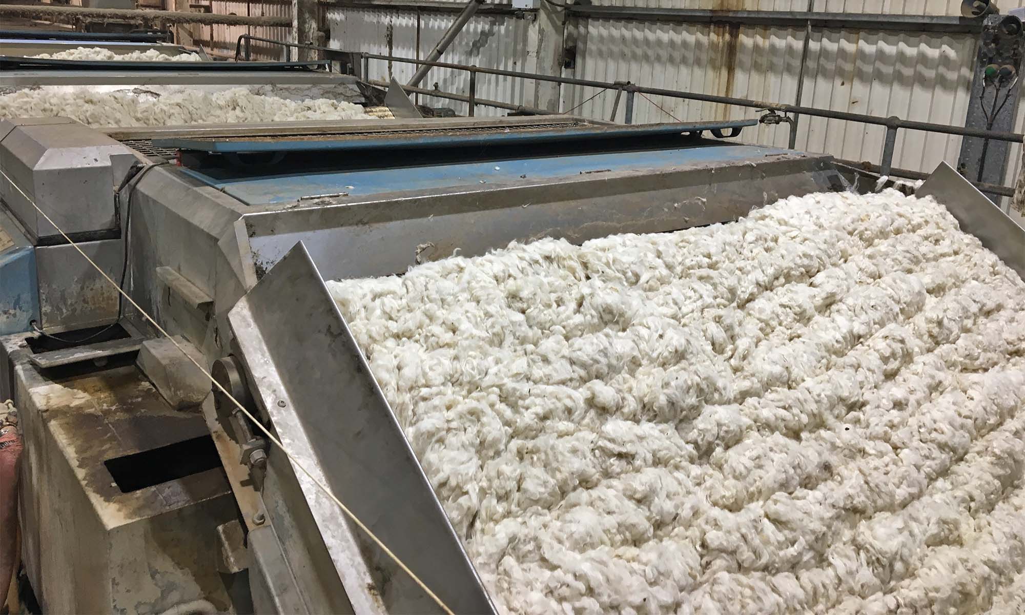 Scouring conveyor wash bowls