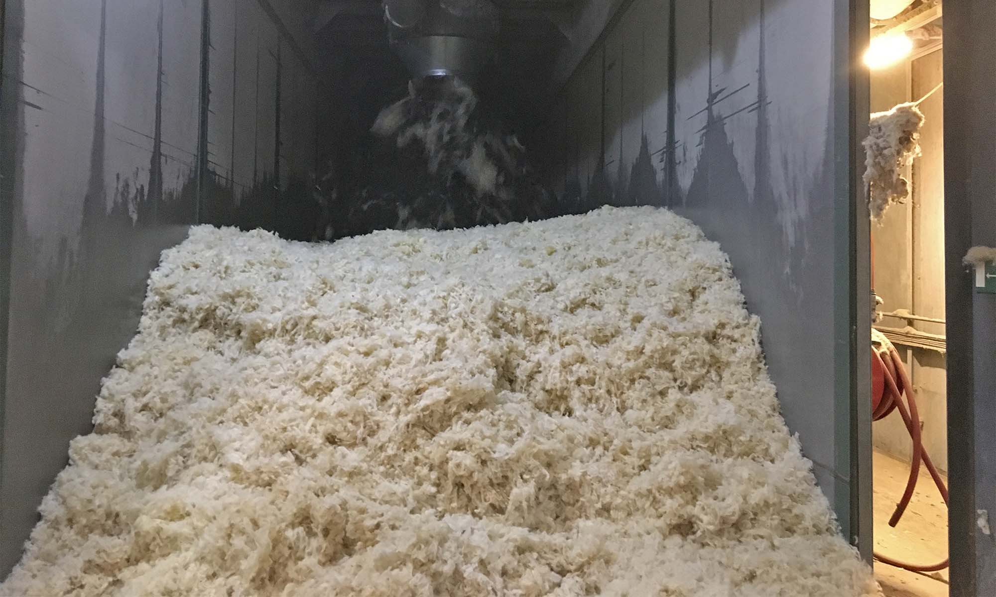 Dried Wool