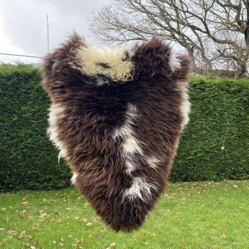 Chocolate Cream Rare Breed Sheepskin Rug