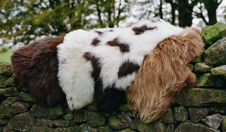 British Sheepskin Rugs
