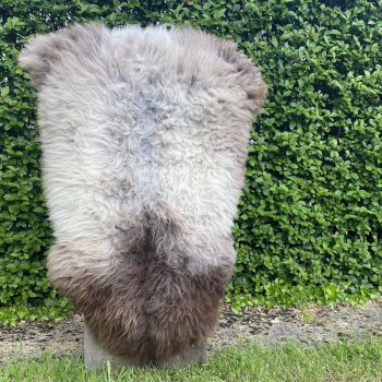 Latte sheepskin rug