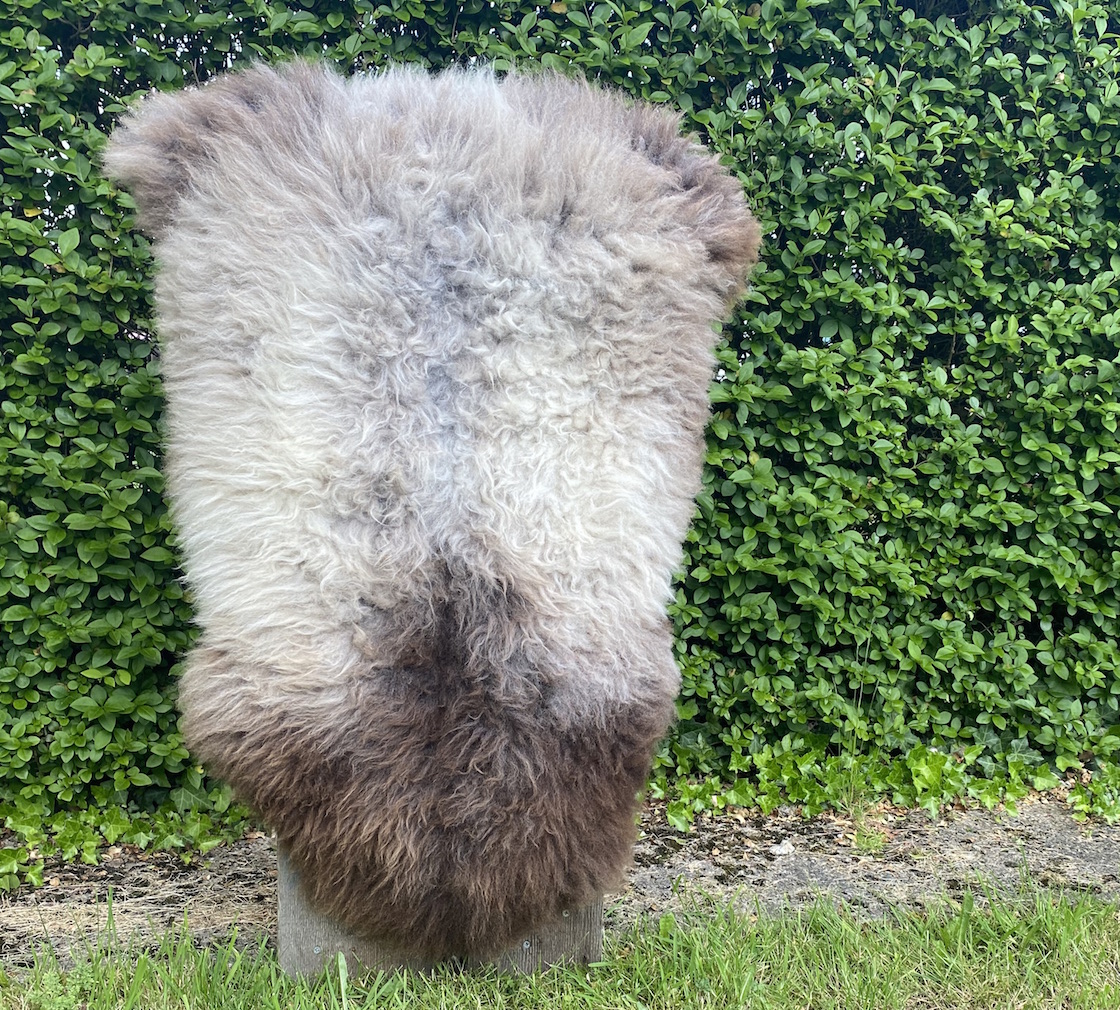 Latte sheepskin rug