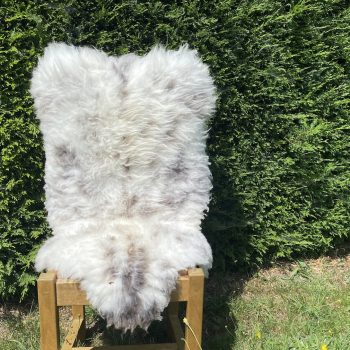 Raccoon British Sheepskin Rug
