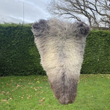 Blizzard British sheepskin rug