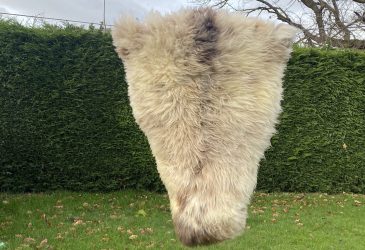 Flat White British sheepskin rug